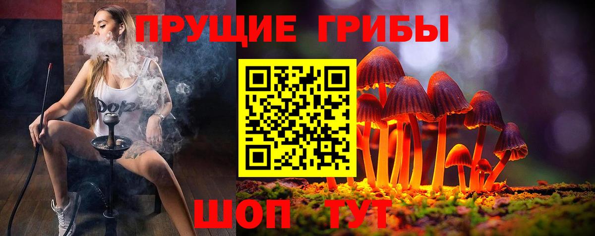 Галлюциногенные грибы прущие грибы  Вход с VPN  Новокузнецк  Галлюциногенные грибы Psilocybe 